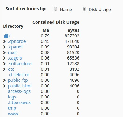 Disk Space Usage Details