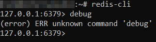 Capture d'écran de la commande DEBUG