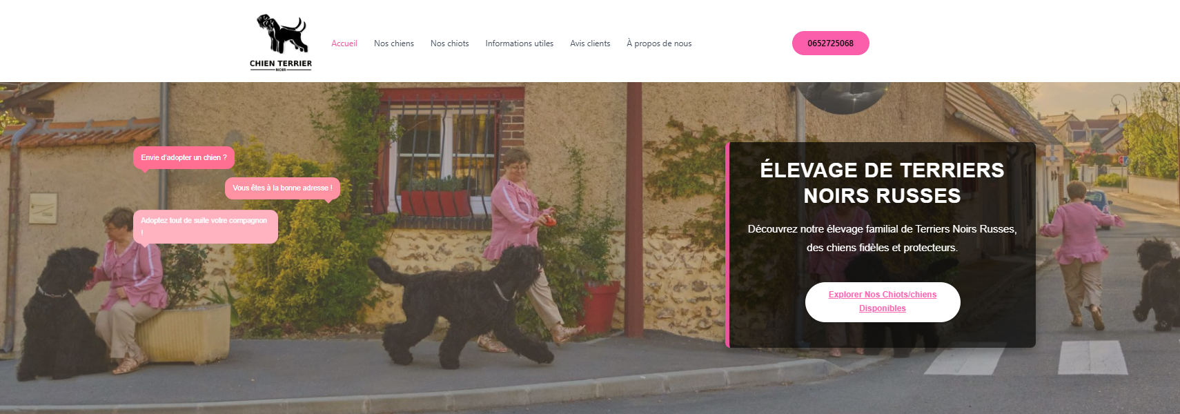 Bannière Terriernoir